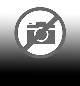 Jan Šibík - Severní Korea