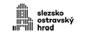Slezskoostravský hrad