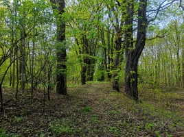 Karviná – Po stopách ztraceného města