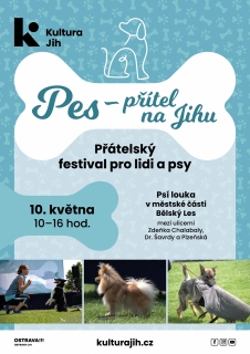 Pes - přítel na Jihu