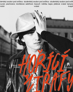 David Drábek - Hořící žirafy
