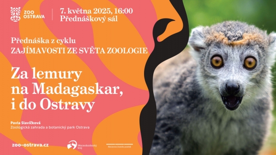 Za lemury na Madagaskar i do Ostravy