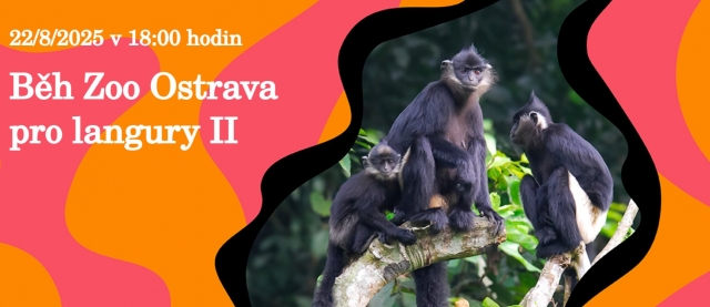 Běh Zoo Ostrava pro langury II