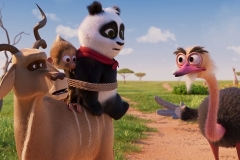 Medvídek panda v Africe