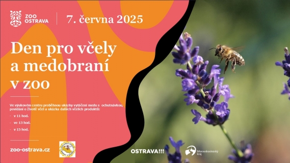 Den pro včely a medobraní v zoo