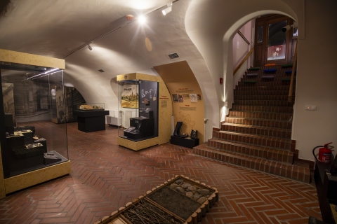 Archeologické léto: Komentovaná prohlídka výstavy Lauby – světla a stíny Ostravy