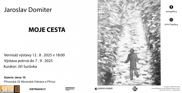 Jaroslav Domiter - Moje cesta