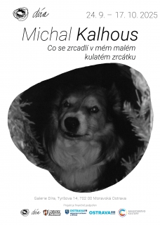 Michal Kalhous - Co se zrcadlí v mém malém kulatém zrcátku