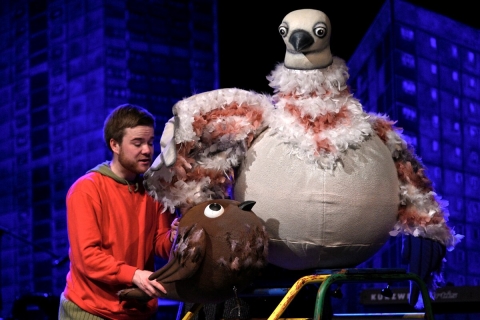 Kdo neskáče, není holub! aneb Zobáky sobě