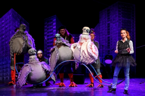 Kdo neskáče, není holub! aneb Zobáky sobě