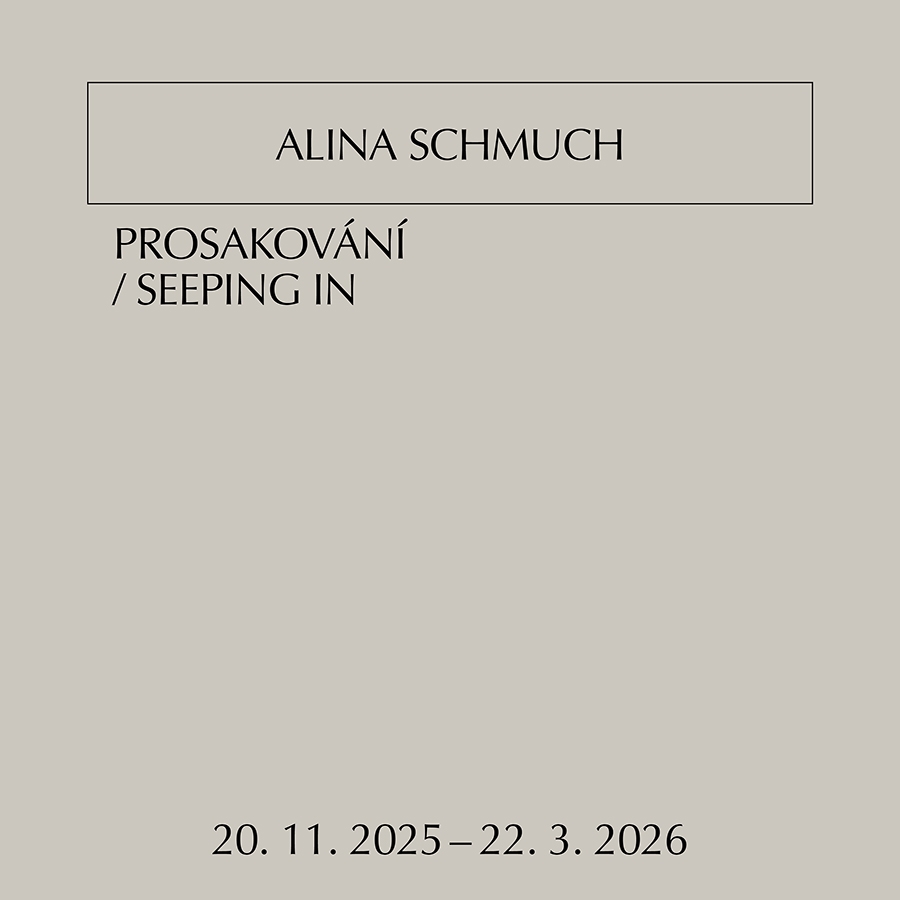 Alina Schmuch: Prosakování | výstava