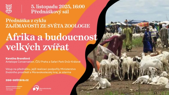 Afrika a budoucnost velkých zvířat