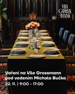 Vila Grossmann