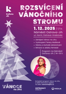 Rozsvícení stromu na Jihu