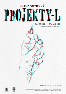 Libor Novotný - Projekty-L