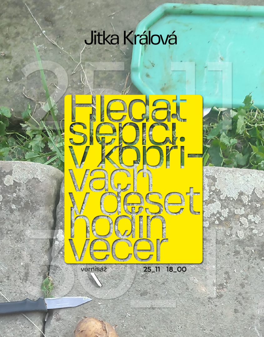 Hledat slepici v kopřivách v deset hodin večer