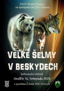 Velké šelmy v Beskydech