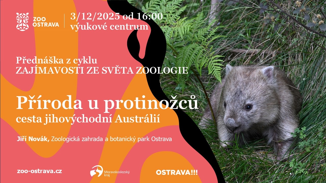 Příroda u protinožců: cesta jihovýchodní Austrálií