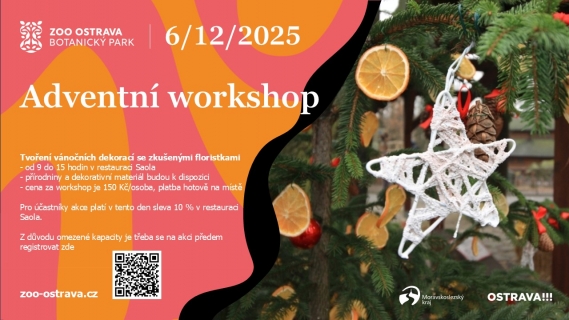 Adventní workshop