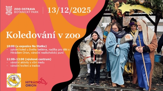Koledování v zoo