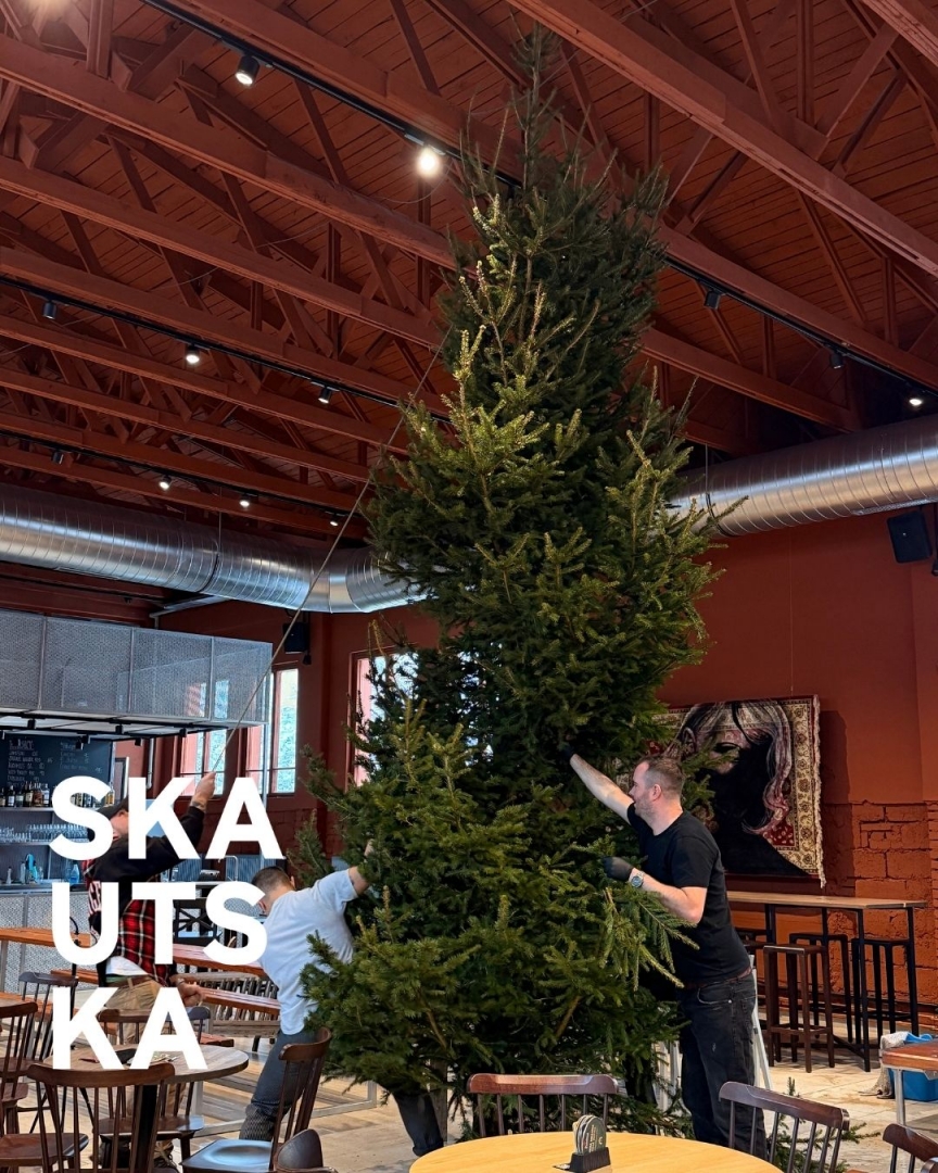 Rozsvícení vánočního stromečku na Skautské