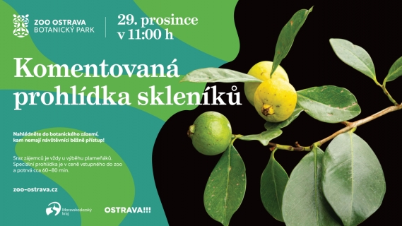 Komentovaná prohlídka skleníků