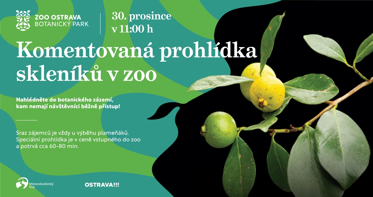 Komentovaná prohlídka skleníků