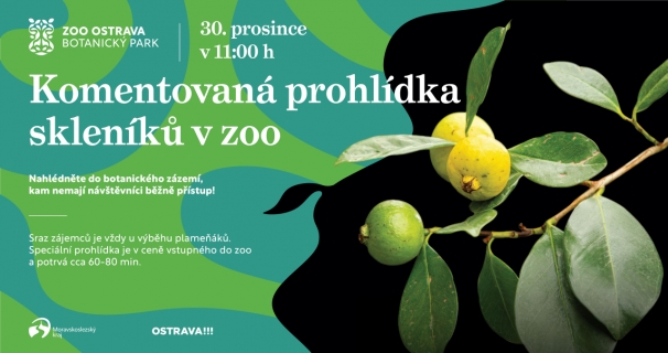 Komentovaná prohlídka skleníků