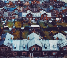 Štítová kolonie, autor: Adam Šodek