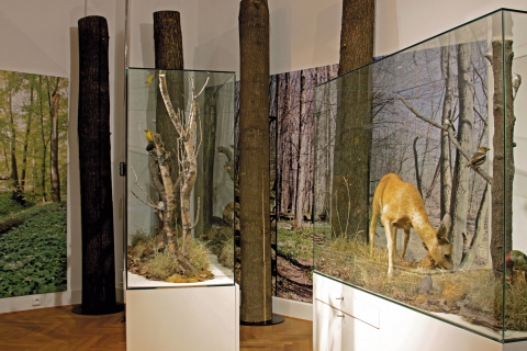 Ostravské muzeum