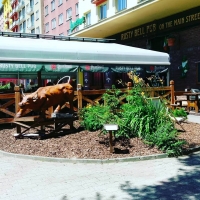 Rusty Bell Pub