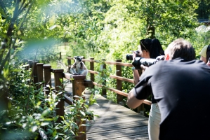 Ostrovy lemurů, foto: archiv ZOO