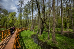 Mokřady, foto: archiv ZOO