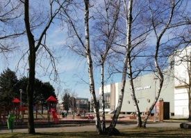 čl2