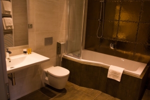 Hotel Freud