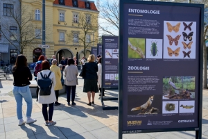 Muzeum jde do ulic Ostravy i Moravskoslezského kraje