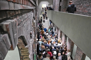 Tři nové výstavy galerie PLATO