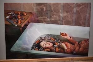 Kateřina Sýsová: Kukbuk
