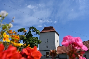 Slezskoostravský hrad