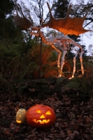 Halloween a lampionový průvod
