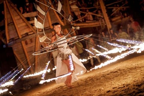 Fireshow Pyrodise