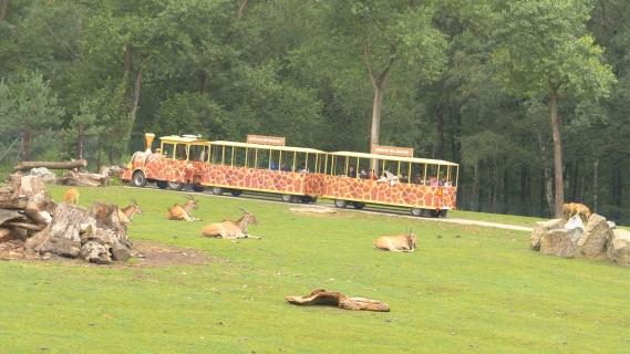 Safari expres, foto: E. Gombala