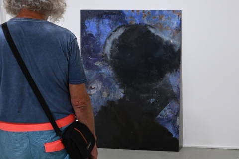Dagmar Šubrtová. Příměsi hald na obrazech
