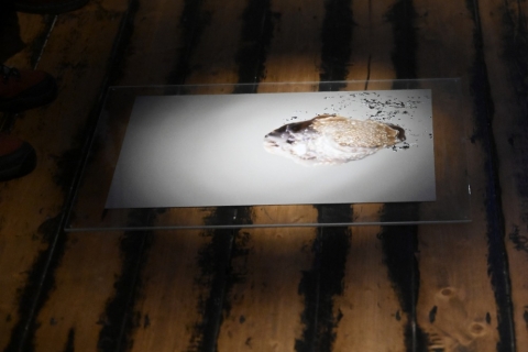 Výstava dámského dua ve Fotografické galerii Fiducia
