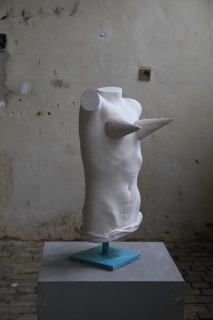 Šárka Mikesková - Venus