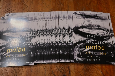 Martina Rožanská. Malba