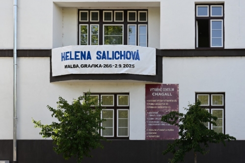Chagall: Helena Salichová