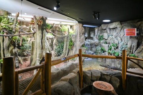 Pavilon Malá Amazonie znovu otevřen