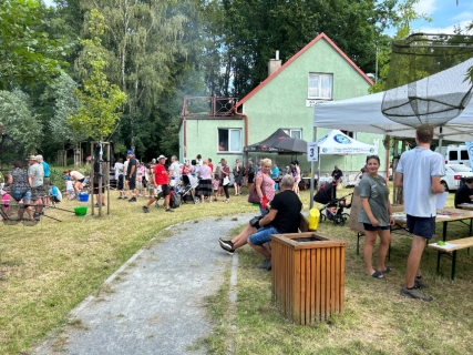 Léto u rybníků na Jihu