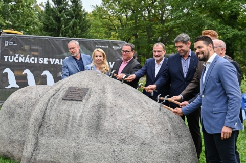 Tučňáci, za dva roky v Ostravě!